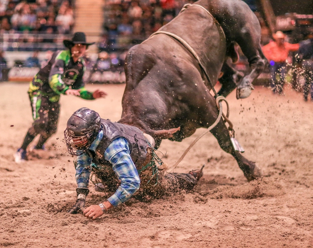 PBR Monster Energy Tour Beaudesert Invitational Image 2