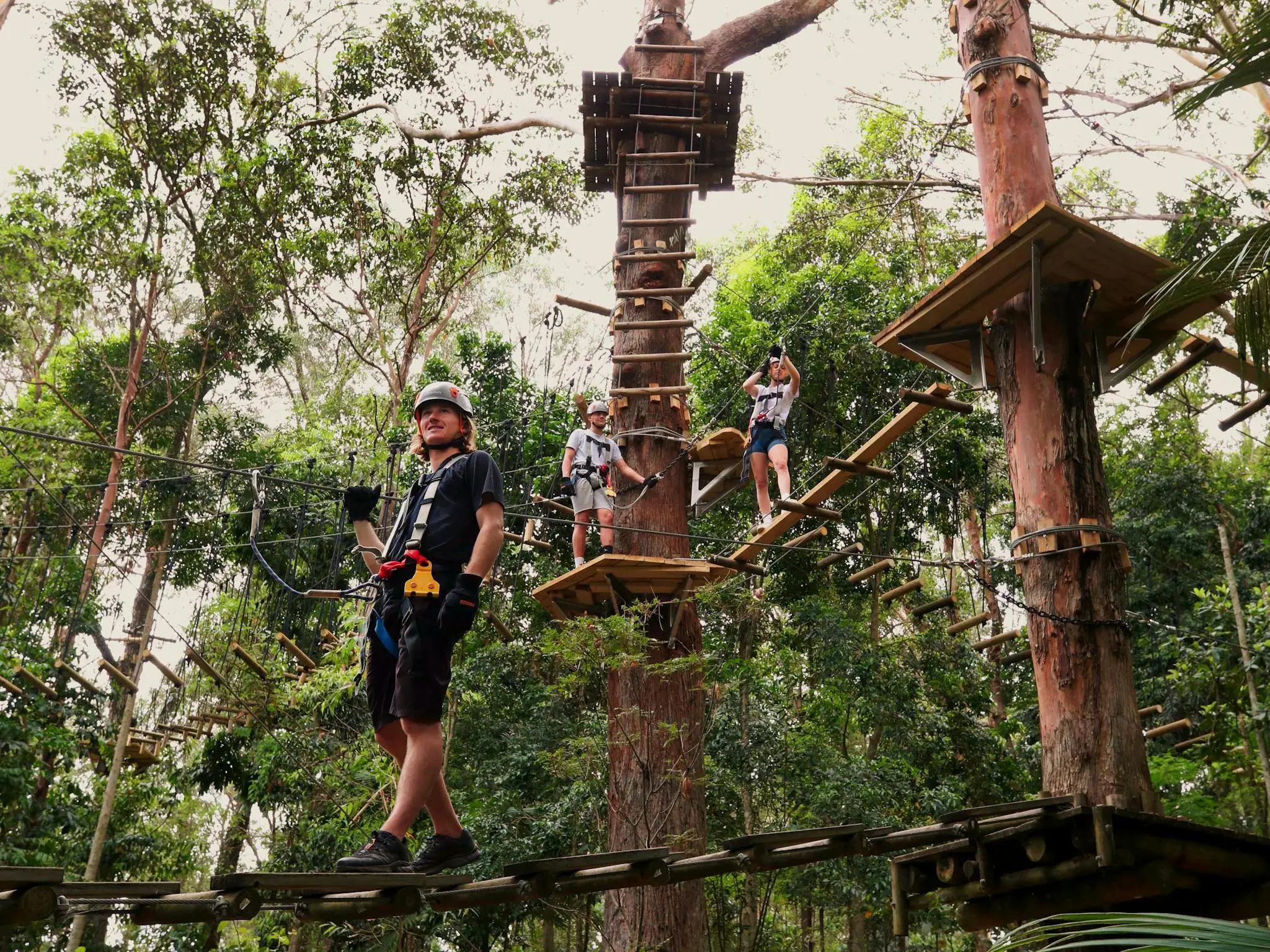 Currumbin Wildlife Sanctuary and Tree Tops Challenge