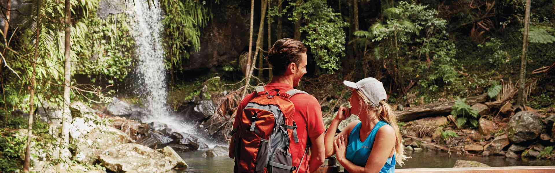 Curtis Falls at Tamborine Mountain