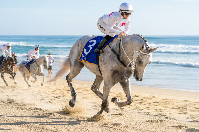 Magic Millions Barrier Draw 2023