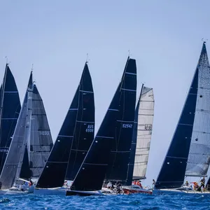 The Yacht Sales Co Sail Paradise Regatta Image 1