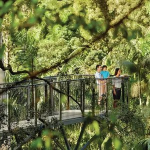 Tamborine Mountain