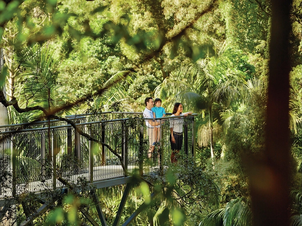 Tamborine Mountain