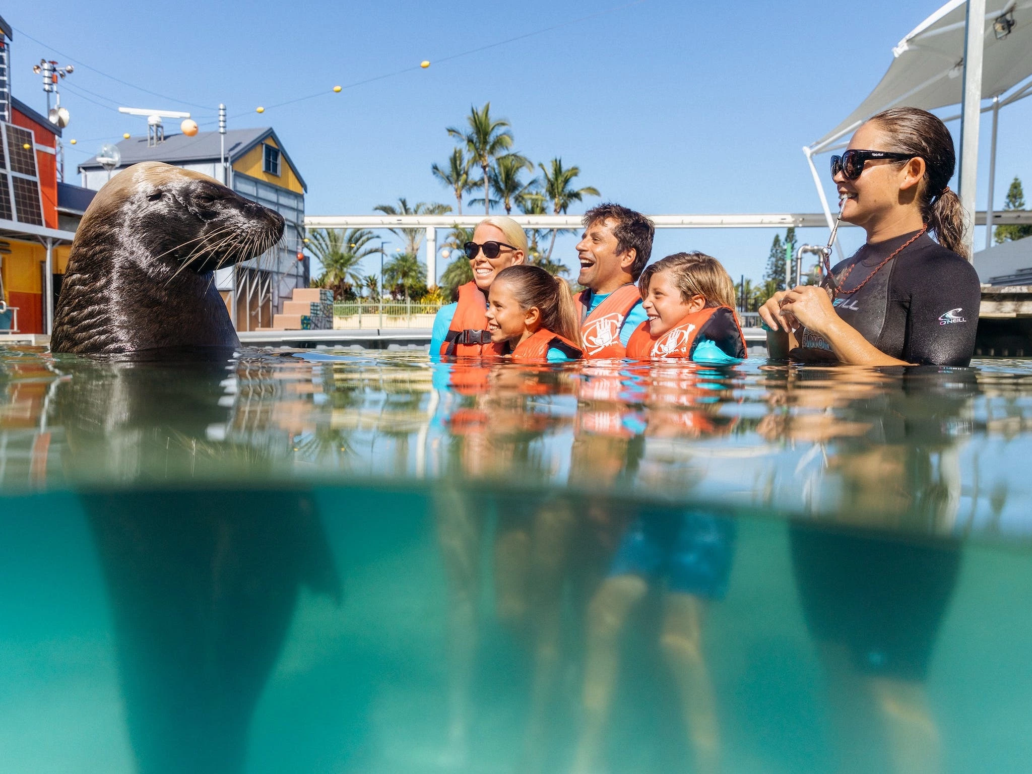 Whale Watch and Sea World Entry Combo
