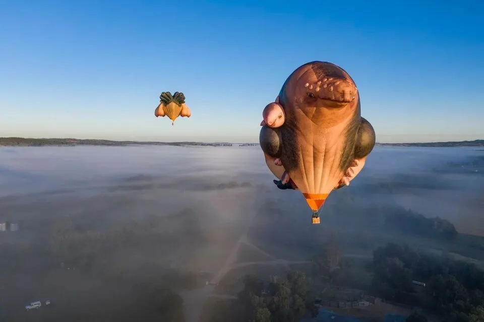 First Light | Skywhales Across Australia Image 4