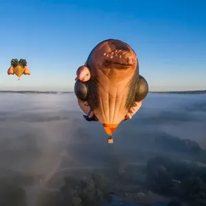 First Light | Skywhales Across Australia-4