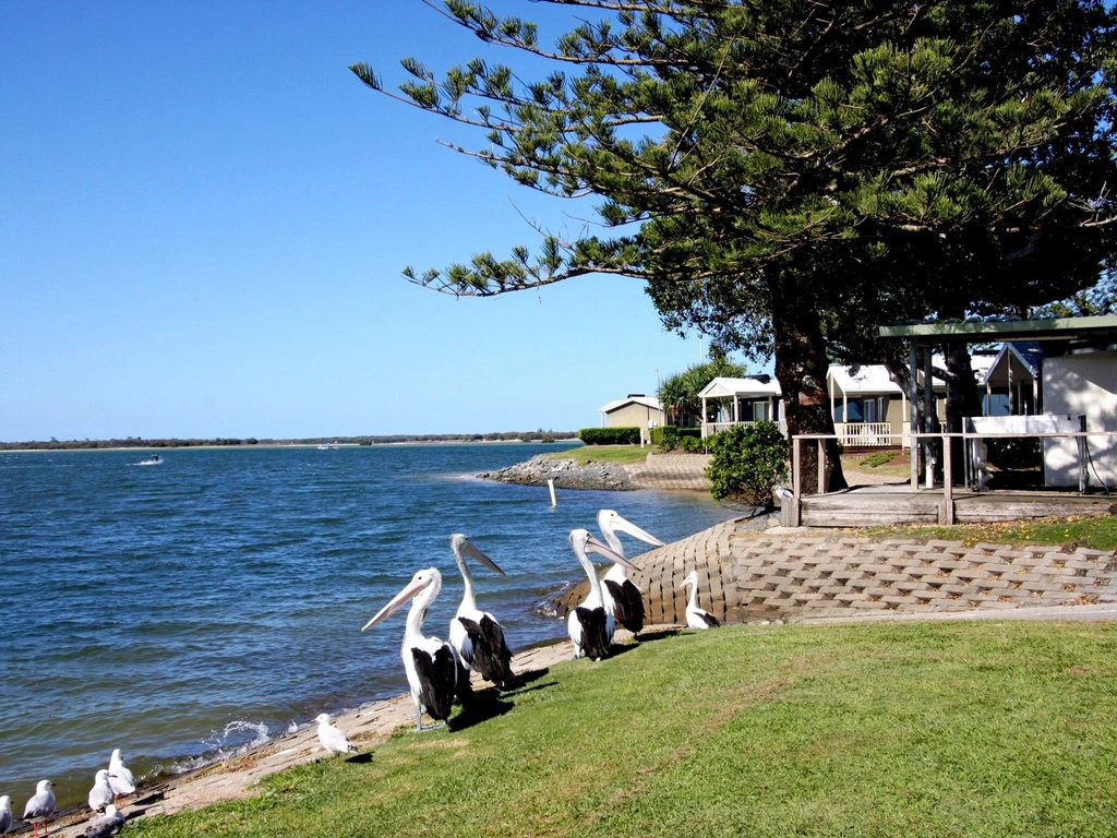 Broadwater Tourist Park Gold Coast