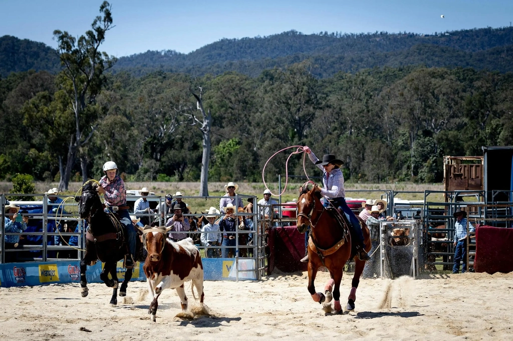 Tamborine Rodeo Image 2