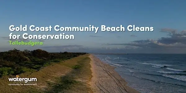 Gold Coast Community Beach Cleans for Conservation - Tallebudgera Image 1
