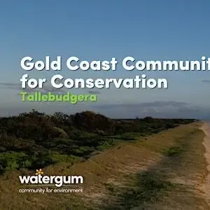 Gold Coast Community Beach Cleans for Conservation - Tallebudgera Image 1