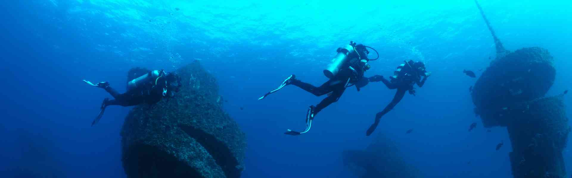 Gold Coast's Wonder Reef