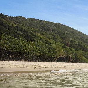 Tallebudgera Creek