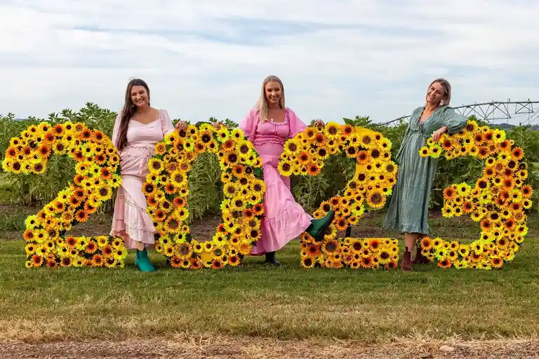 Kalbar Sunflower Festival Image 1