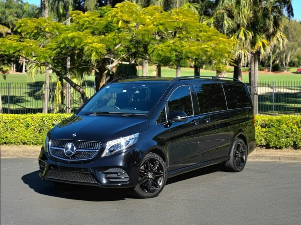Black Mercedes-Benz van parked near a golf course with palm trees and hedges in the background.