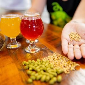 Hop On Brewery Tours