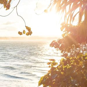 TEQ_Coolangatta_coastal_walk.jpg