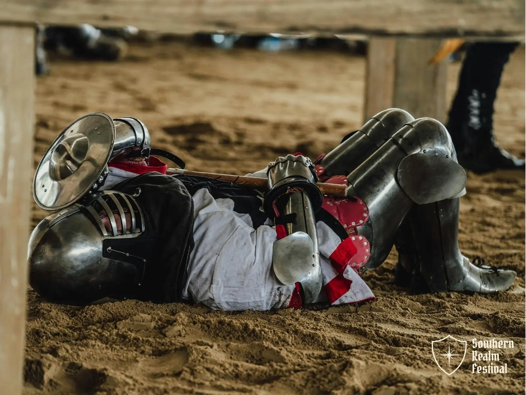 Southern Realm Festival Image 4