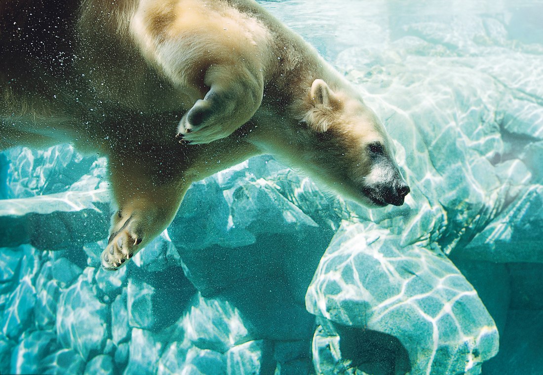 Sea World
