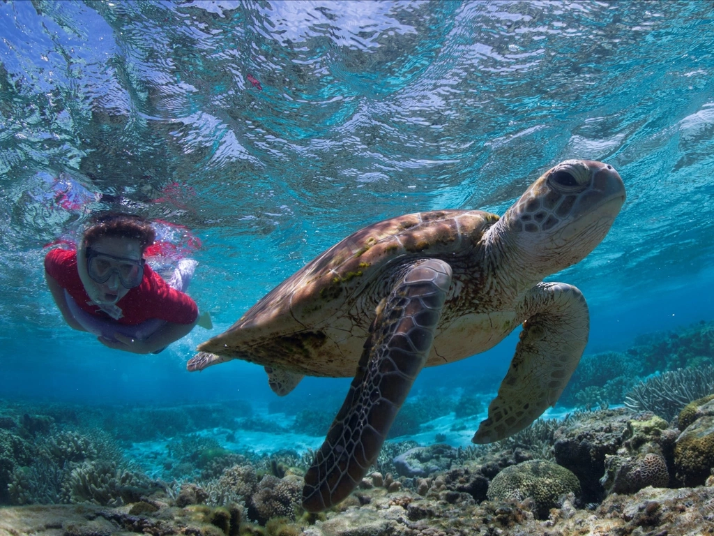 Lady Elliot Island Eco Resort