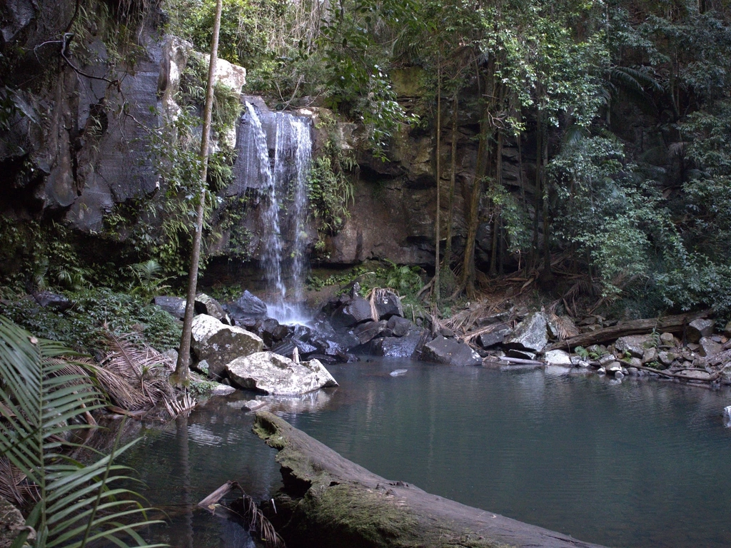 Curtis falls