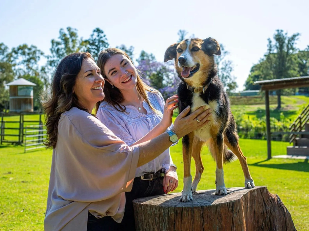 Two smiling guests petting a sheepdog on a tree stump in a grassy paddock at Lone Pine Koala Sanctua