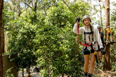 TreeTop Challenge.jpg