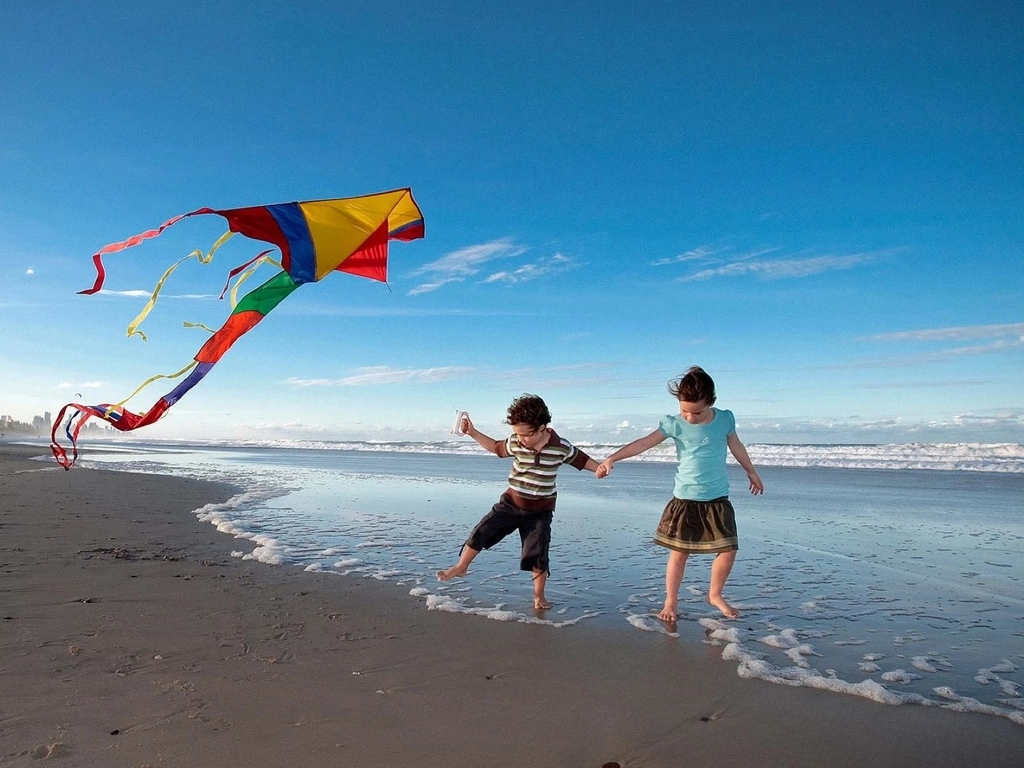 Beachside kite flying