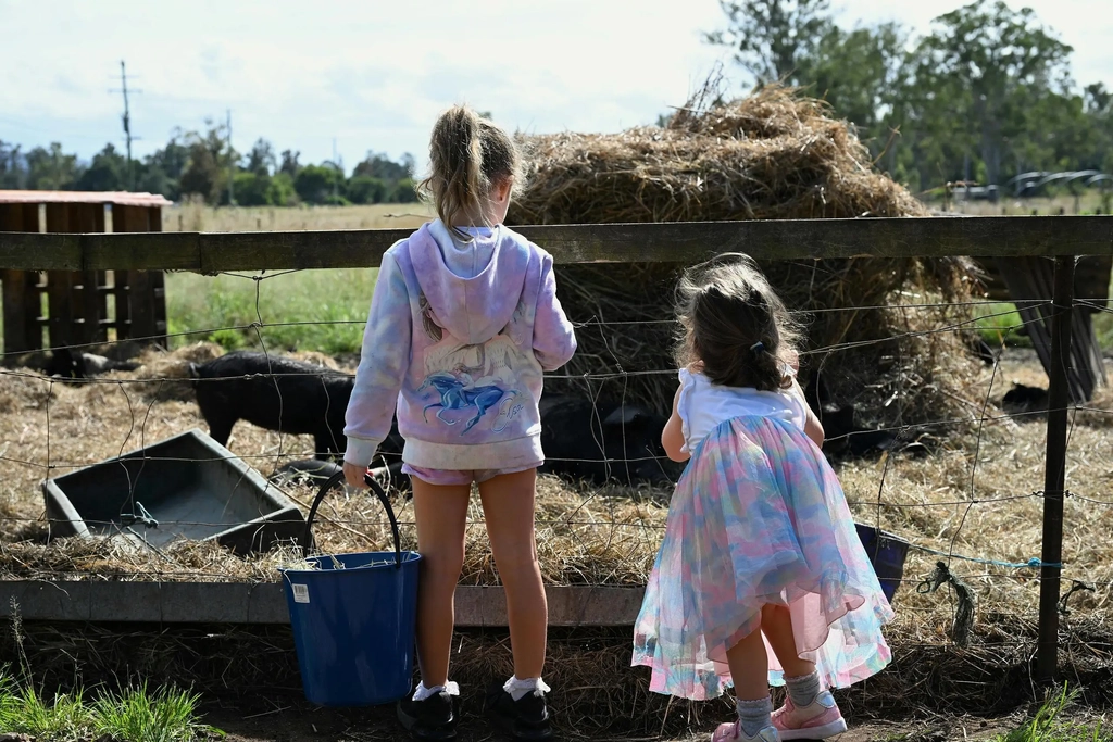 Winter Market Day on the Farm Image 4