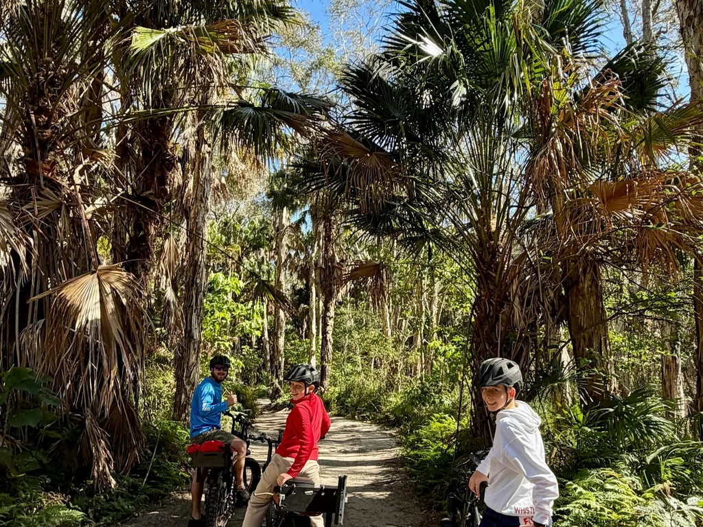 Coastal Rainforest