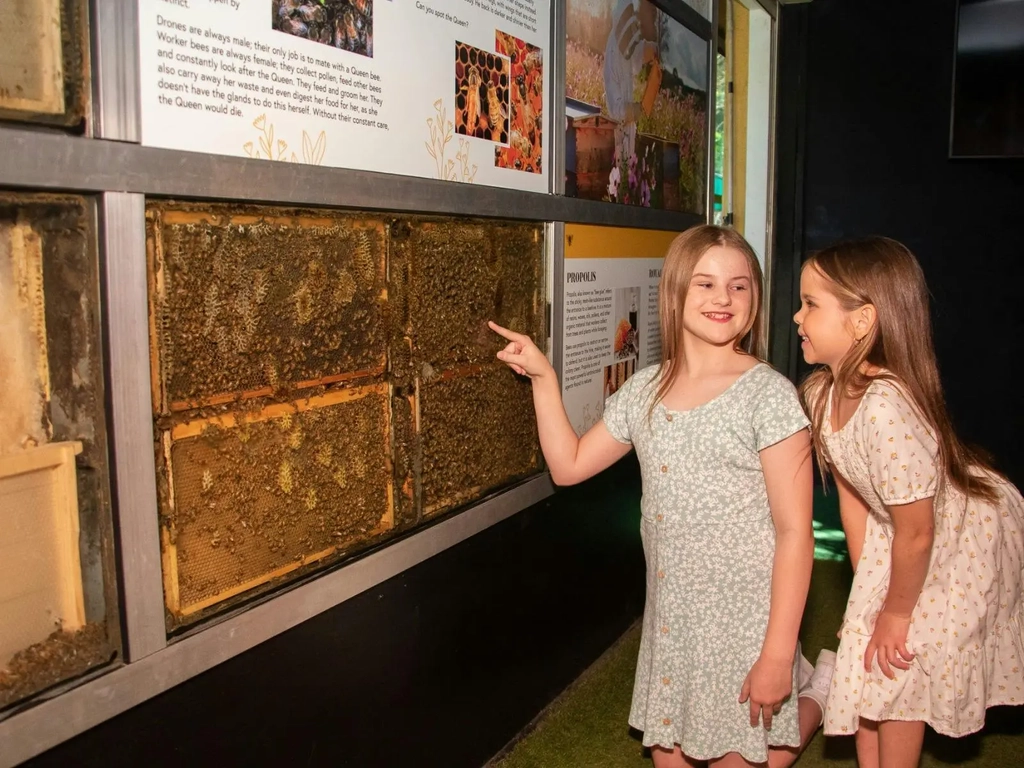 Honeyworld Currumbin