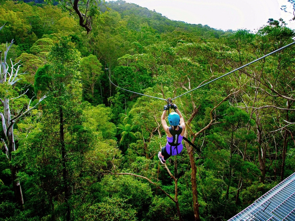 Mt Tamborine, TreeTop Challenge