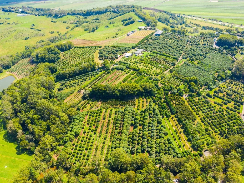 Aerial image