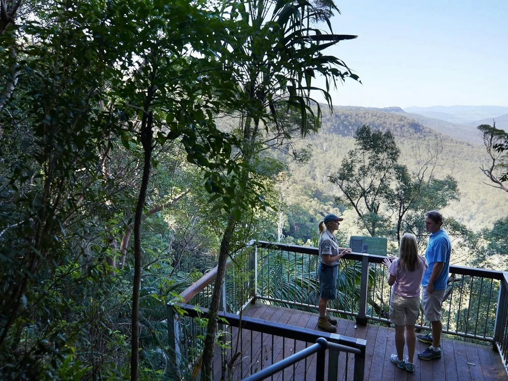 Visitors speak with a ranger on a lookout platform overlooking forested mountains in Tamborine