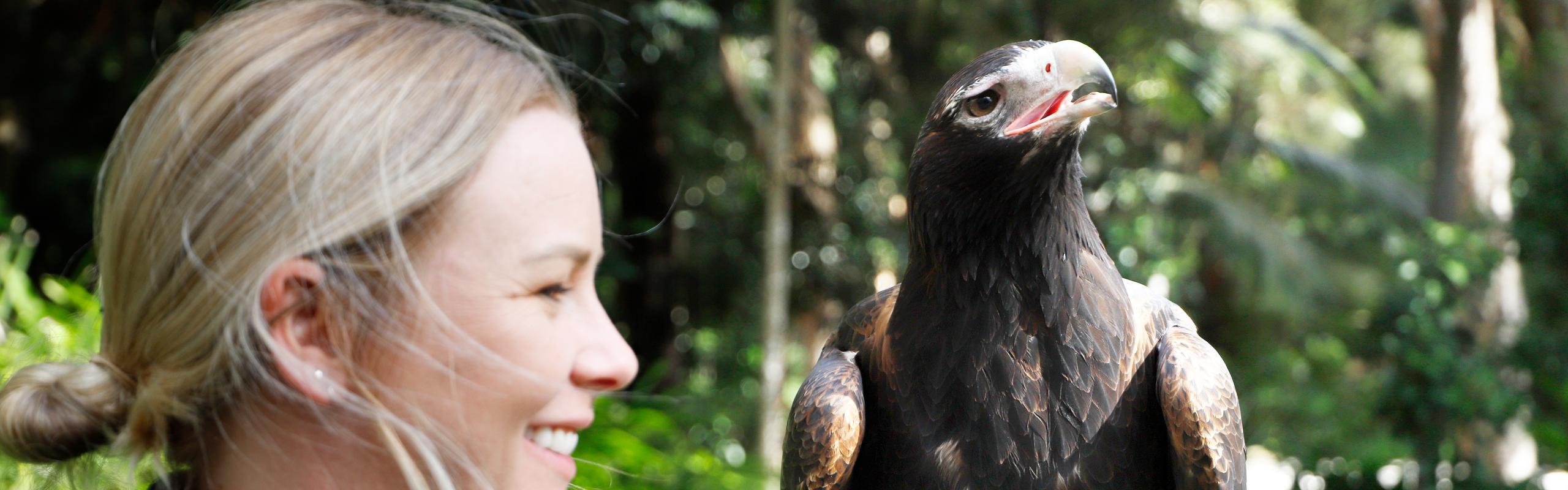 Currumbin Wildlife Sanctuary - TIGC21