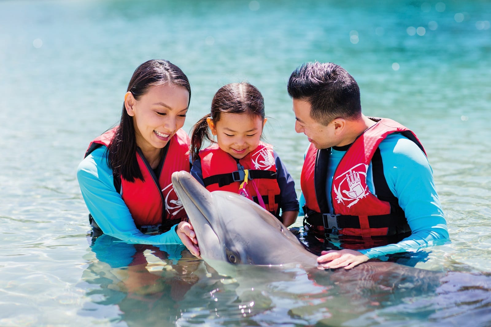 family in shallow water with Sea World Dolphin