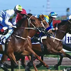 Melbourne Cup Image 1