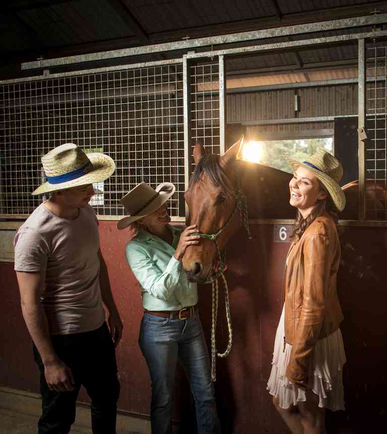 Giddy Up! Gold Coast Horse Riding Trails & Tours