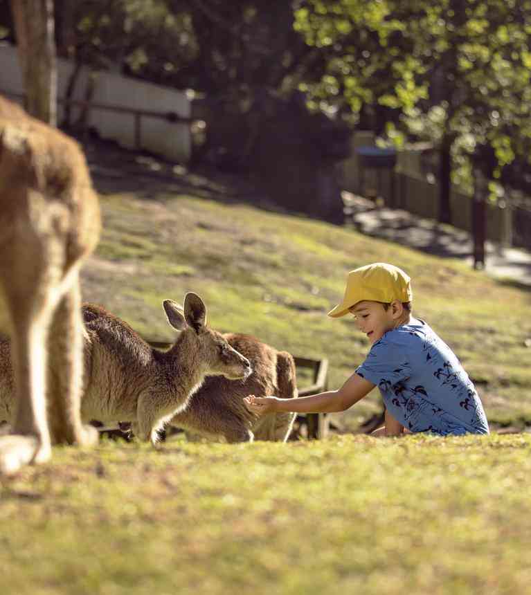 Currumbin Wildlife Sanctuary