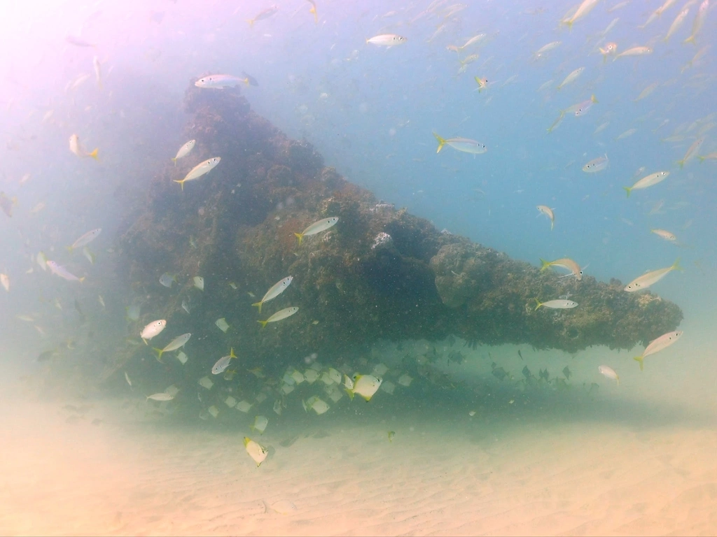 Scottish Prince shipwreck