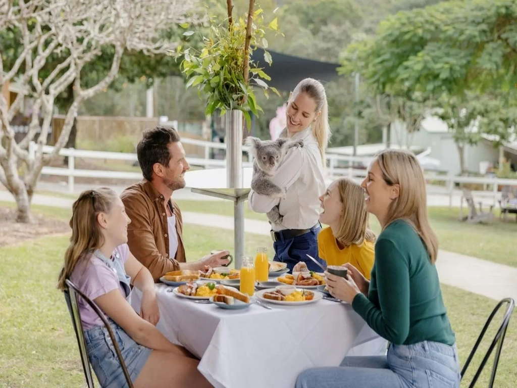 Paradise Country Koala Breakfast Image 1