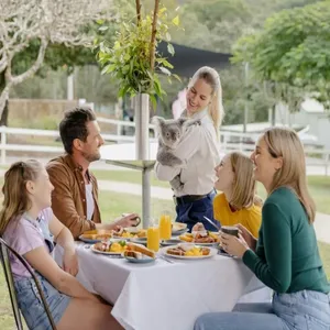 Paradise Country Koala Breakfast Image 1