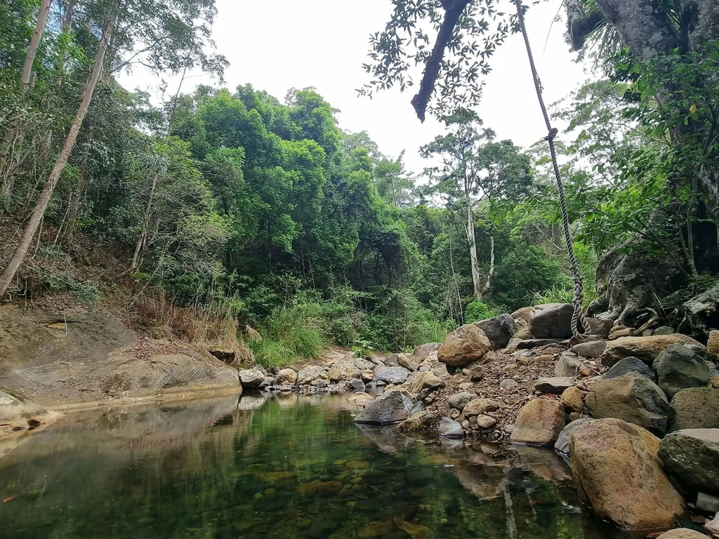 the pristine waters of cave creek