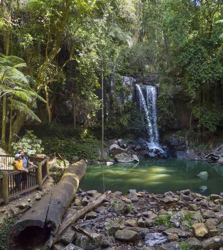 Curtis Falls, Tamborine Mountain