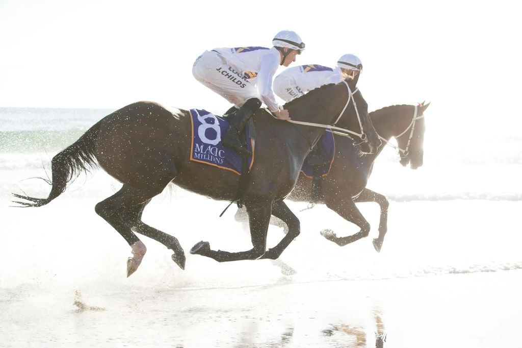 The Star Gold Coast Magic Millions Barrier Draw Image 1