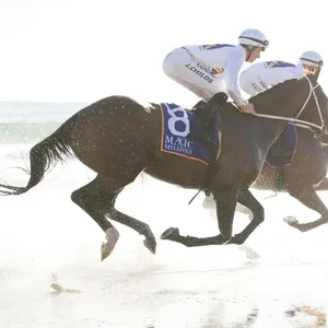 The Star Gold Coast Magic Millions Barrier Draw Image 1