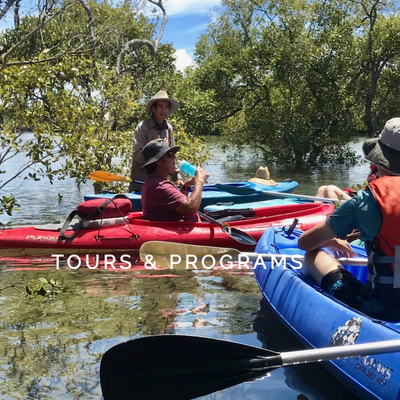 Australian International Student Tours
