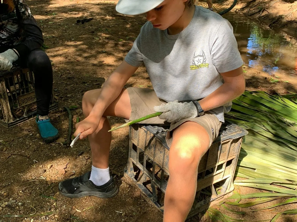 Gold Coast Hinterland Nature Adventures for Kids (School Holidays) Image 6