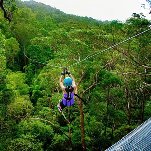 Zipline Tour