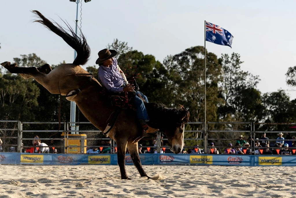 Tamborine Rodeo Image 1