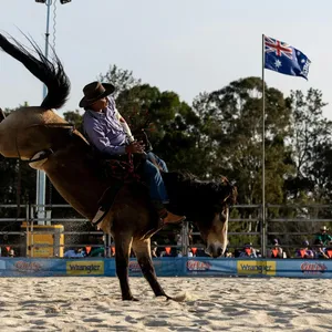 Tamborine Rodeo Image 1